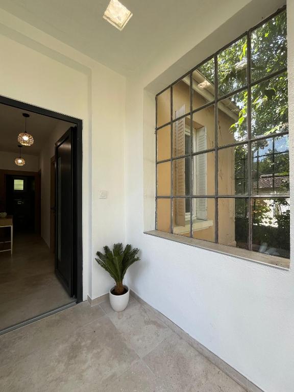 a potted plant sits in the entry way of a house at Chambre privée in Vénissieux