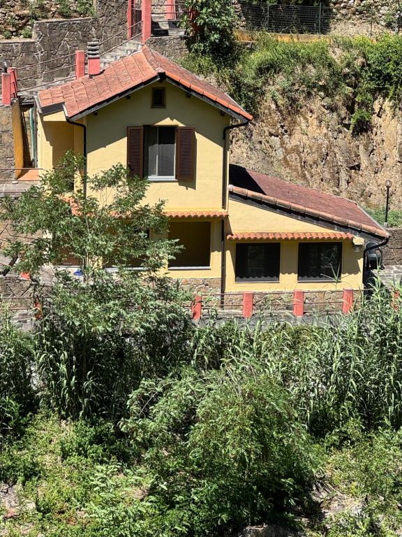 a yellow house on the side of a hill at Agriturismo del Gao in Isolabona