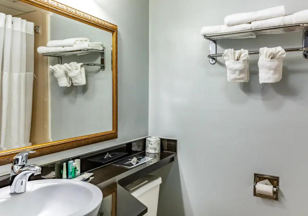 Quality Inn East Stroudsburg - Poconos - Standard Room A