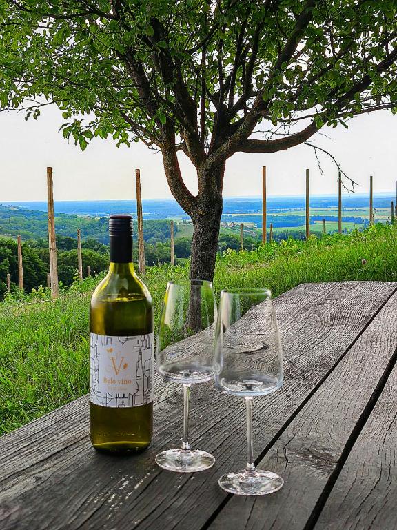 a bottle of wine and two glasses on a wooden table at Udobna hiša med vinogradi blizu Vinarium LEND - Comfortable Vineyard House near Vinarium Tower LEND in Lendava