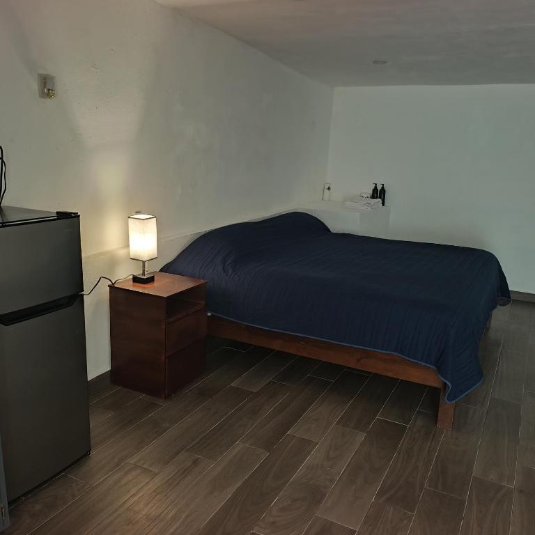 a bedroom with a bed with a lamp and a refrigerator at Loft Garden Santiago México in Santiago