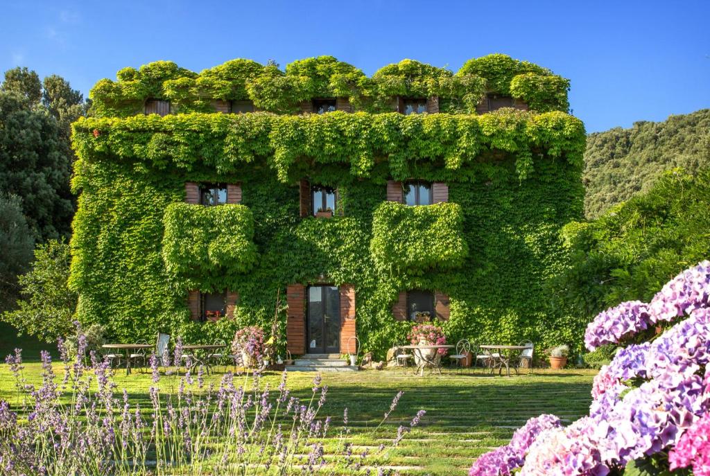 a building covered in ivy with tables and chairs at L'Agnata di De André Boutique Hotel in Tempio Pausania