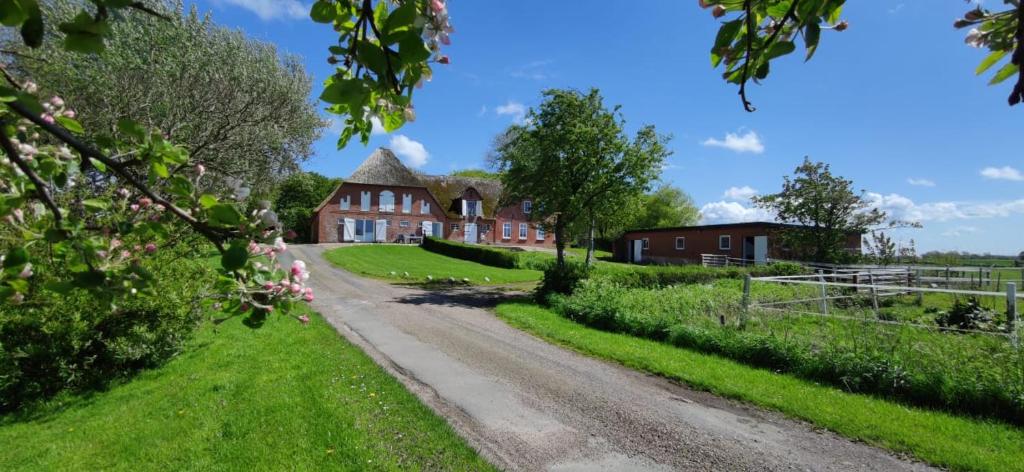 a dirt road in front of a large house at Hof Döttgebüll in Aventoft