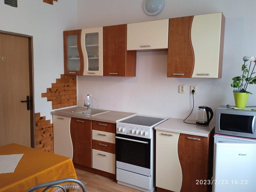 a small kitchen with a stove and a microwave at Mary in Cheb