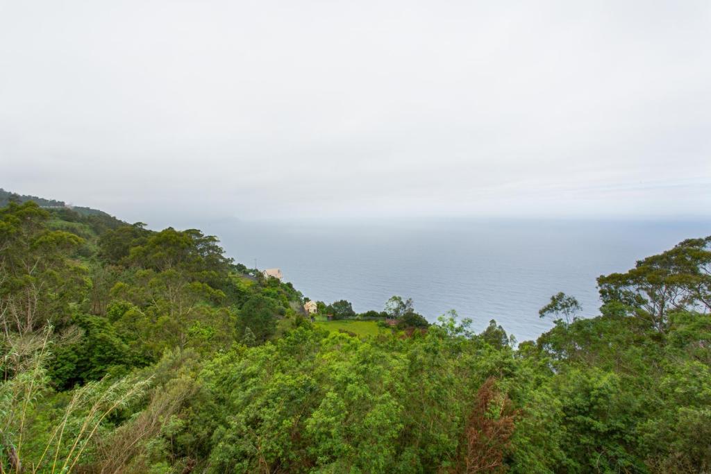 a view of the ocean from a hill with trees at Sunset Village in São Jorge