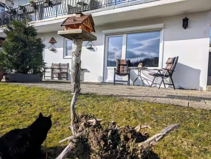 a black cat laying in the grass in front of a house at Haus Kiel Wohnung Mühlenberg in Altenau
