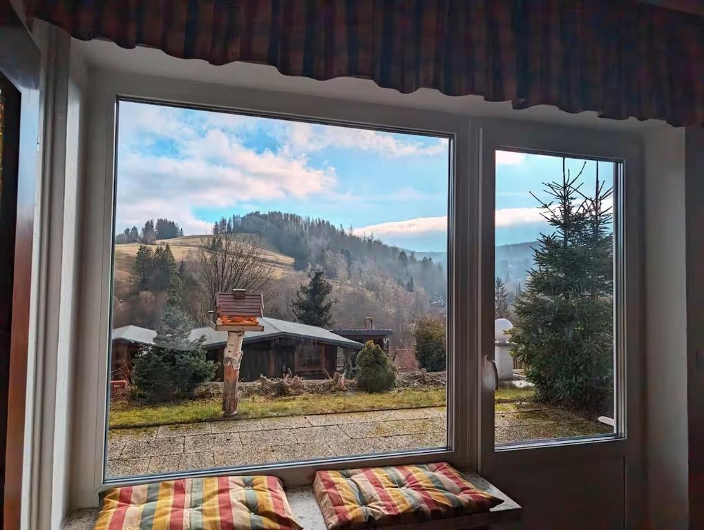 a window with a view of a mountain view at Haus Kiel Wohnung Wolfswarte in Altenau