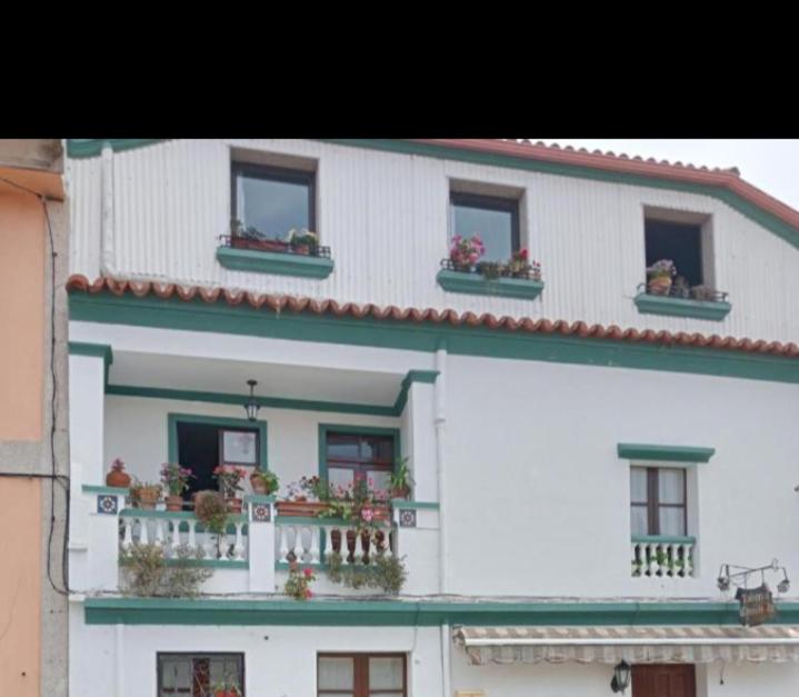 a white building with potted plants and windows at La Chungita in Villanueva de Arosa