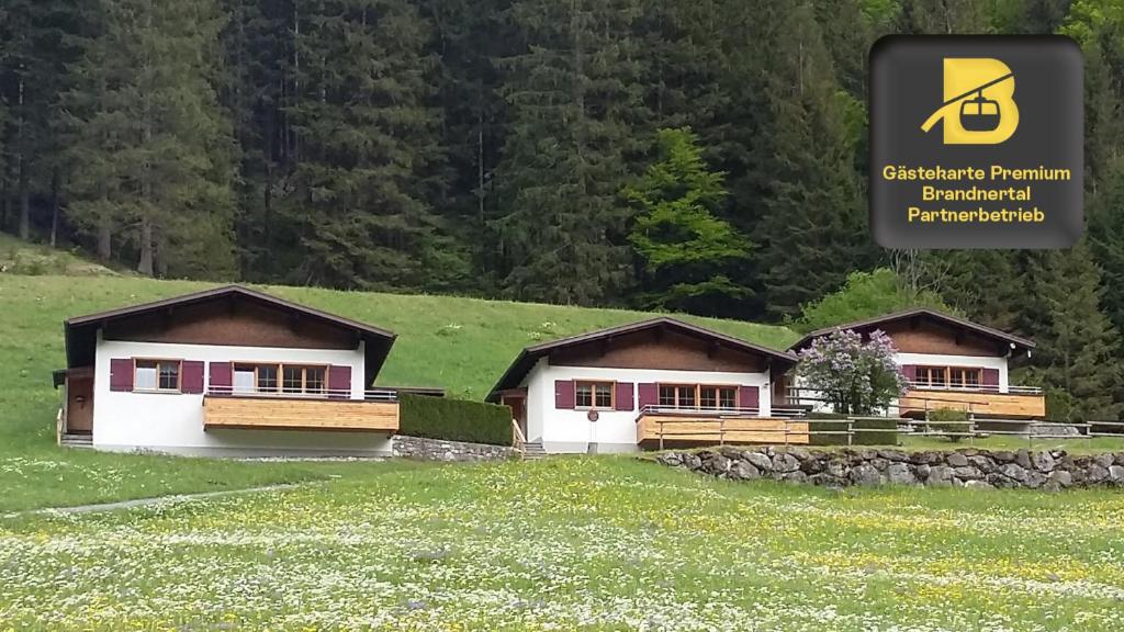 a couple of houses in a field of flowers at Bungalow Müller in Brand