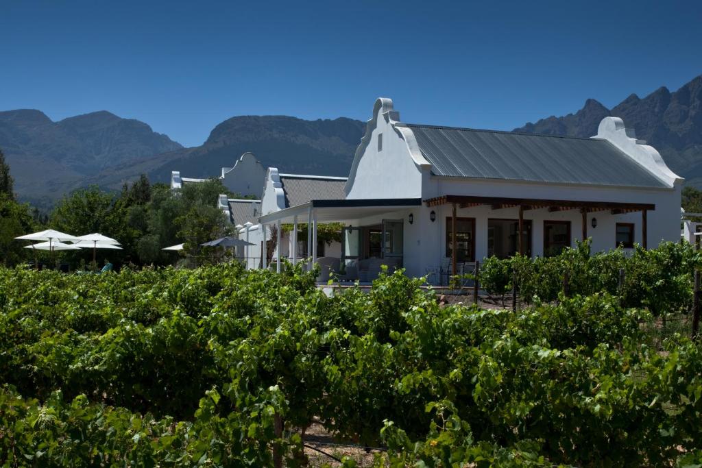 a house in a vineyard with mountains in the background at Dunstone Country House in Wellington