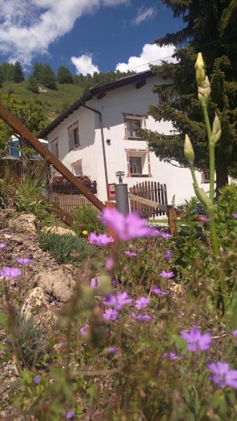 Zahrada ubytování Berghaus am Sonnenhang Valpaschun
