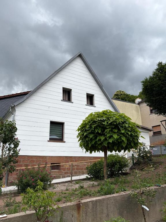 a white house with a tree in front of it at Casa Tua An der Weinstraße 2 in Neustadt an der Weinstraße
