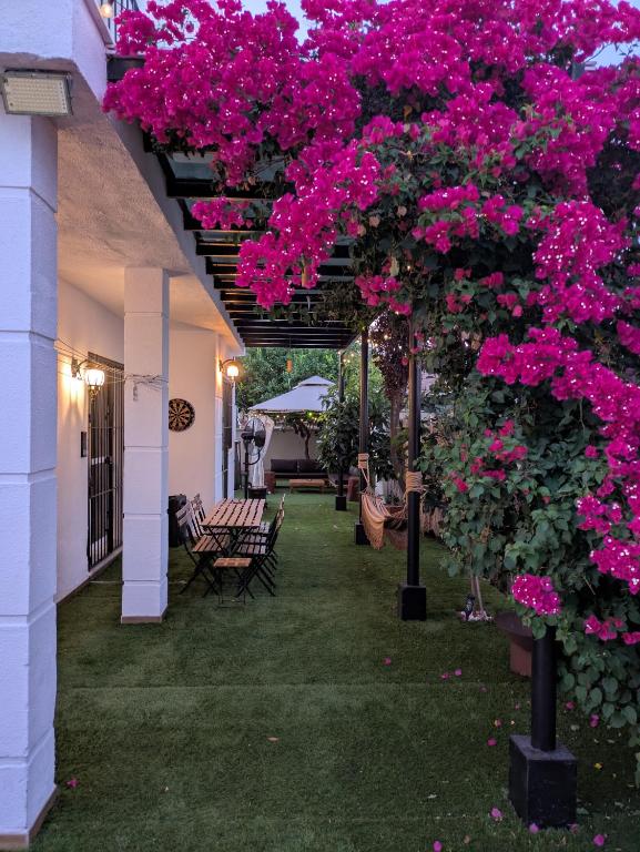 a patio with pink flowers and tables and chairs at Vincents Paradise in Mairena del Aljarafe