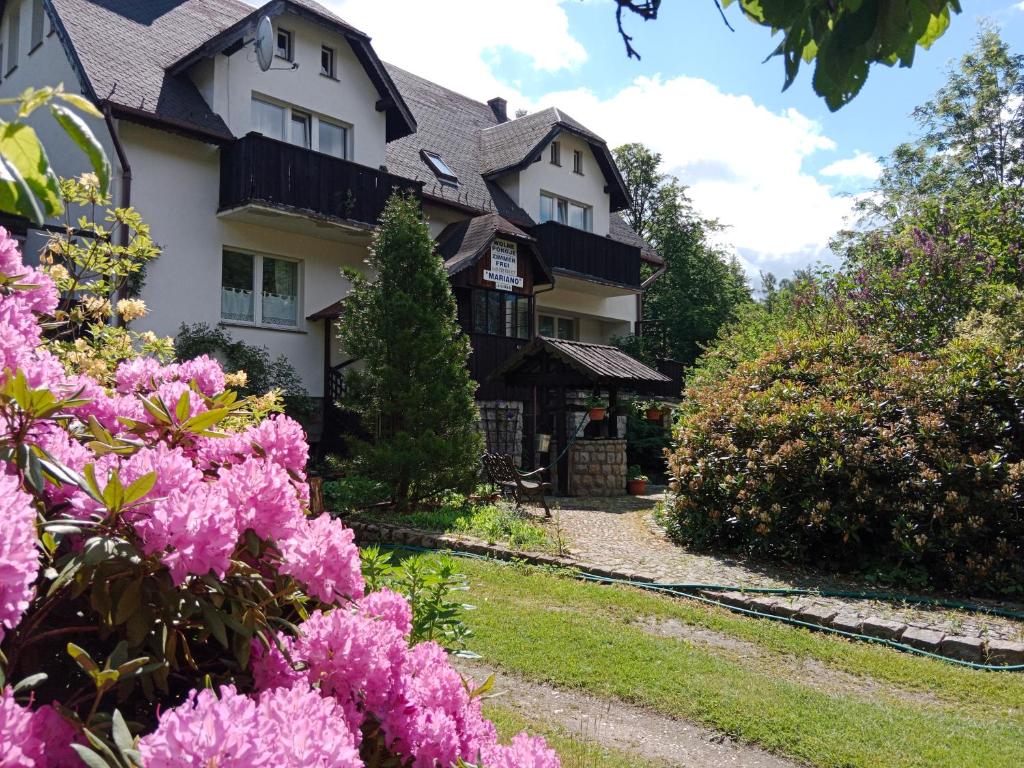a house with pink flowers in front of it at Villa Mariano Michałowice in Piechowice