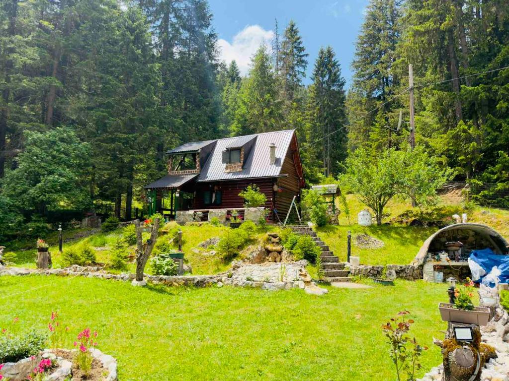 a house on top of a hill with a yard at Vikendica Avlija in Rožaje