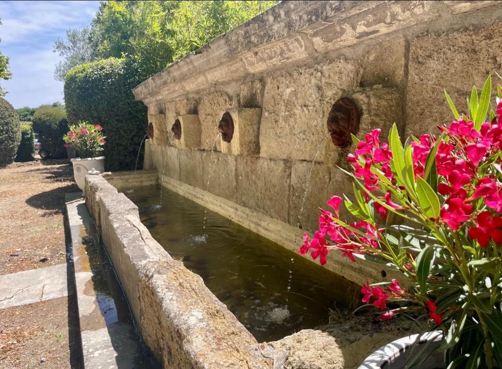 a small pond in a stone wall with pink flowers at Mas des 4 fontaines in Robion en Luberon