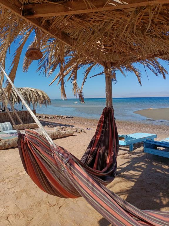 a hammock hanging from a straw umbrella on a beach at blue Bird in Nuweiba‘ el Muzeinah