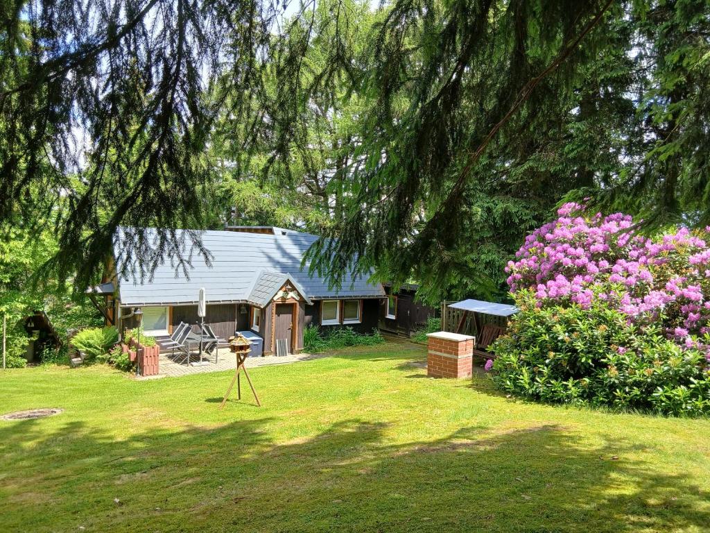 a house with a camera in the yard at Klein Hohe Fichten in Kurort Altenberg