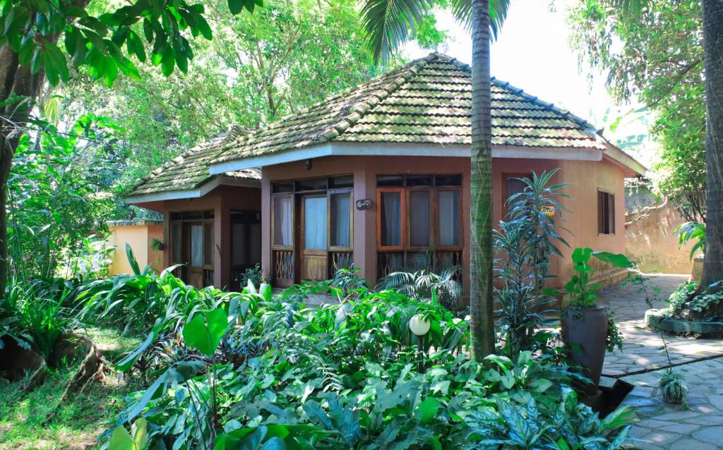 a small house in the middle of a forest at Caffè Roma l'originale in Kampala