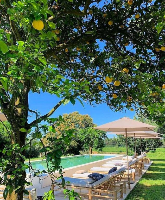 Terra Rosa Country House & Vineyards