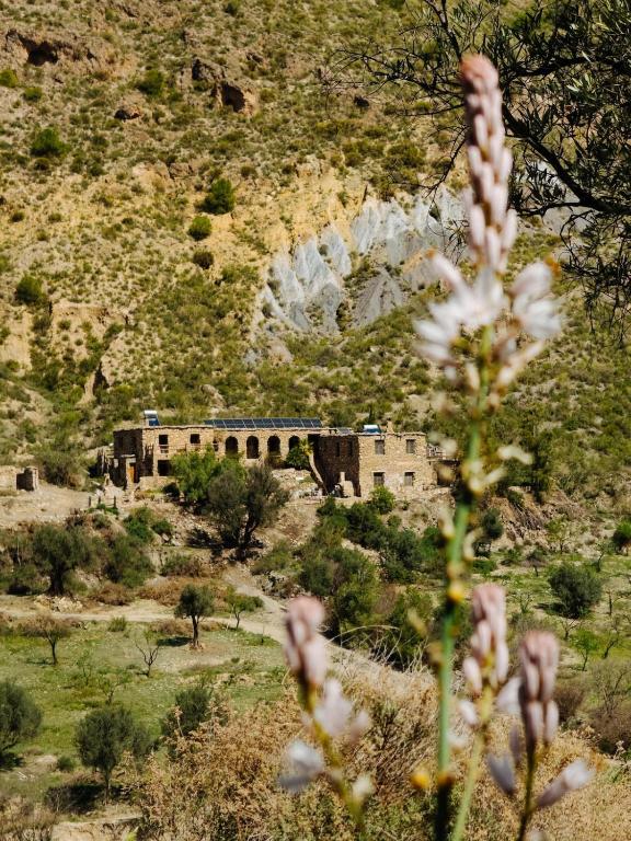 a building in a field with a mountain in the background at Casa Lucía - Off grid vakantiehuisje - Puerto Mika in Torviscón