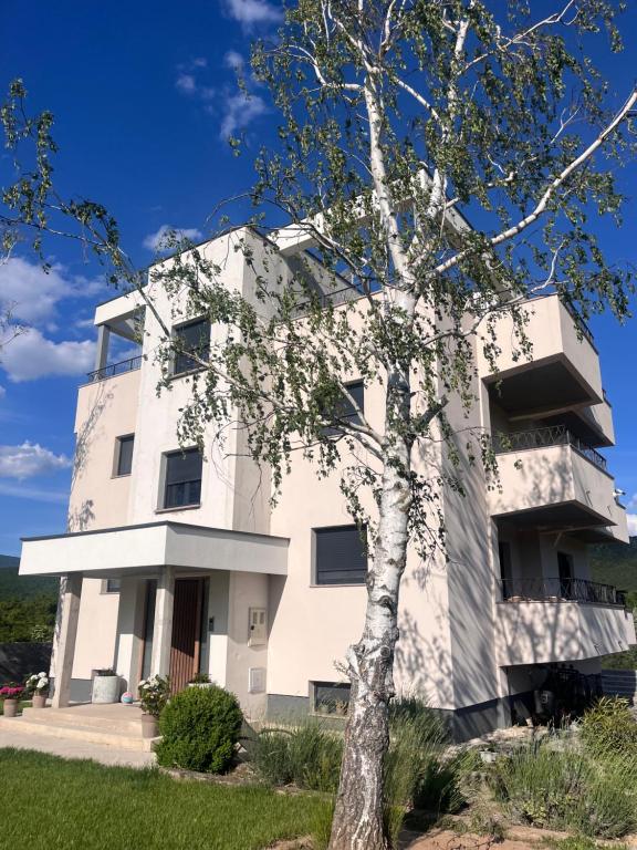 a white building with a tree in front of it at Villa Jelena Rooms and Apartments in Kovačić