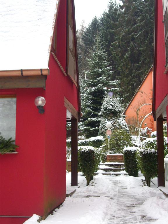 Gite Pinot Noir n°1 à Kaysersberg – photo 17