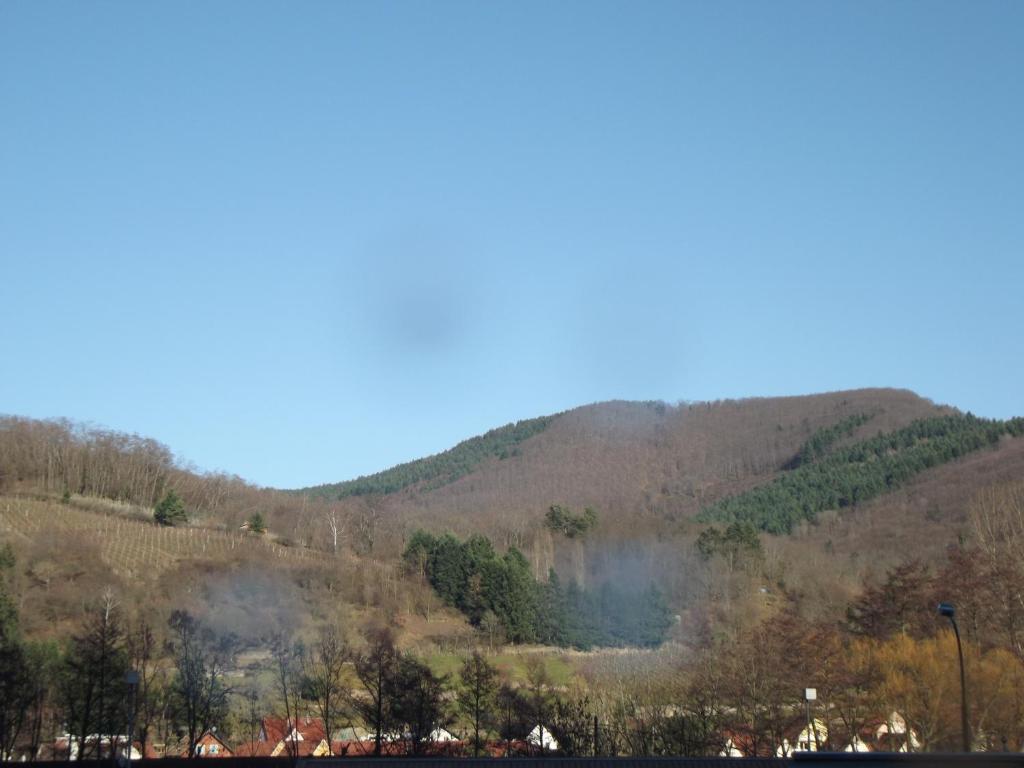 Gite Pinot Noir n°1 à Kaysersberg – photo 19