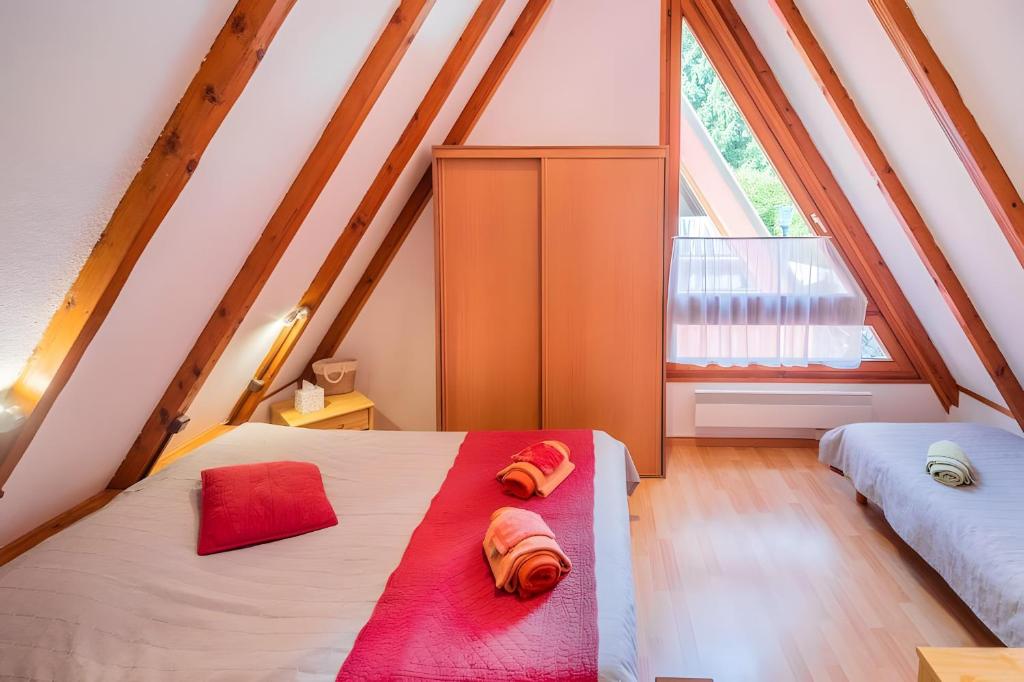 Gite Pinot Noir n°1 à Kaysersberg – photo 2