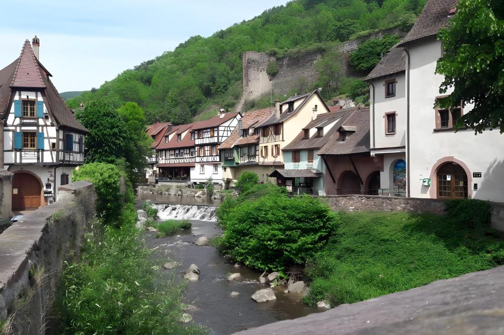 Gite Pinot Noir n°1 à Kaysersberg – photo 6
