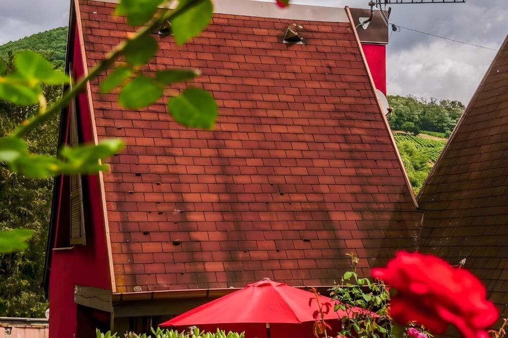 Gite Pinot Noir n°1 à Kaysersberg – photo 16