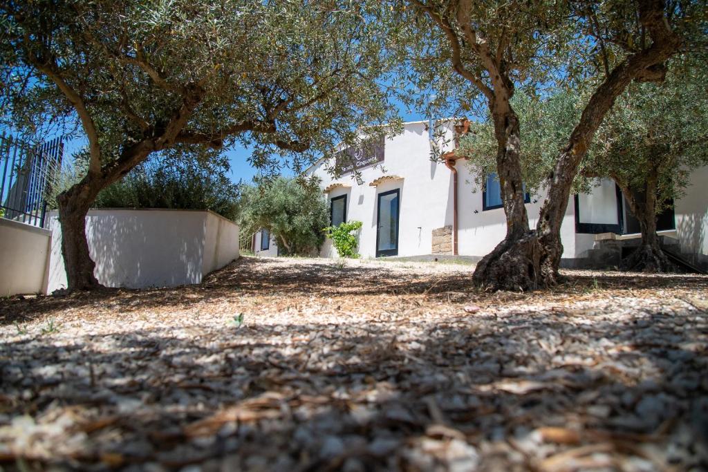 a white house with trees in front of it at Tenute Cinquanta in Menfi