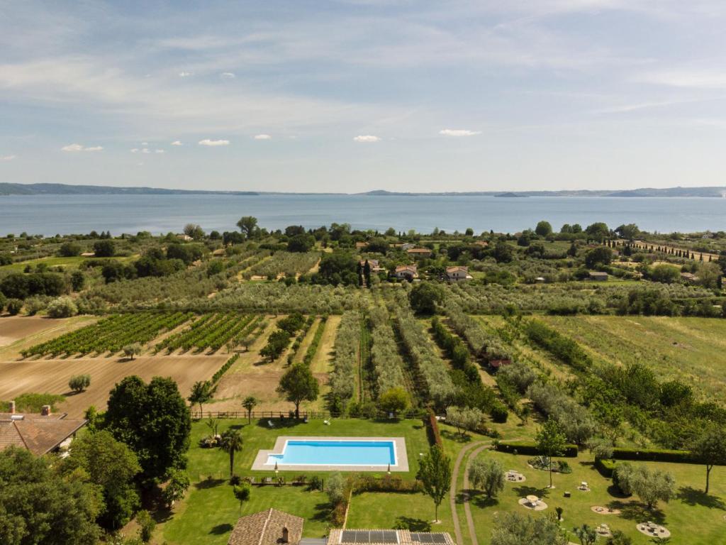 an aerial view of a vineyard with a swimming pool and the water at Apartment Rosa Alba by Interhome in Bolsena