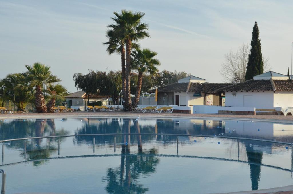 a swimming pool with palm trees in the background at Cabanas de Tavira Apartment in Cabanas de Tavira