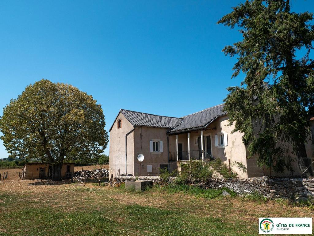 an old house in a field next to a tree at Gîte Le Cayrou in Saint-Just-sur-Viaur