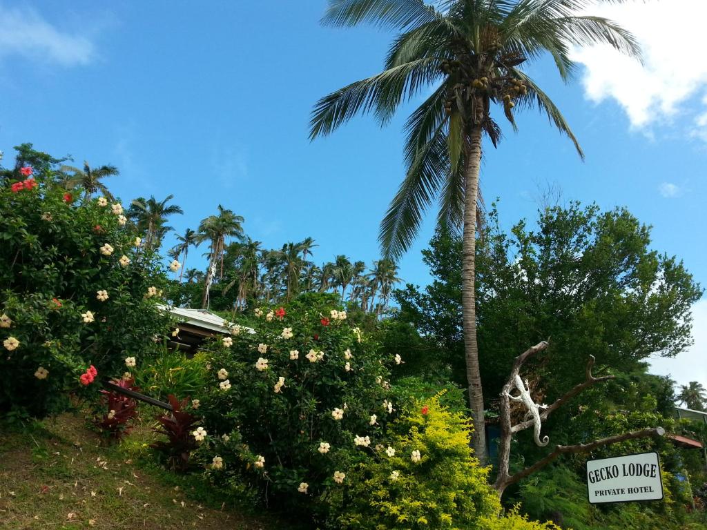 Zahrada ubytování Gecko Lodge Fiji