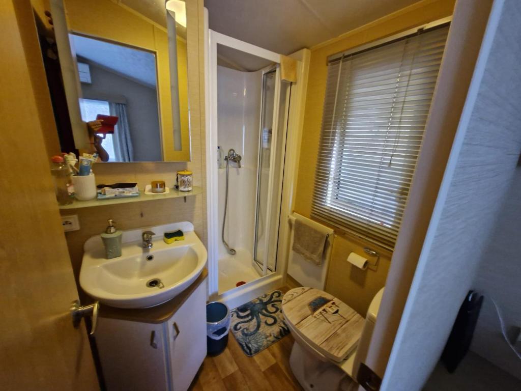 a bathroom with a sink and a shower and a toilet at Camping les cigales 5 étoiles in Le Muy