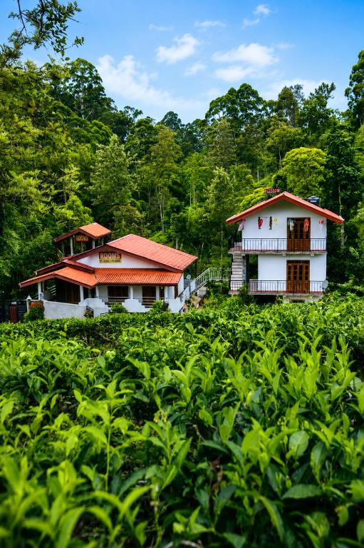 a house in the middle of a field of plants at Haputala Blossom guest in Haputale