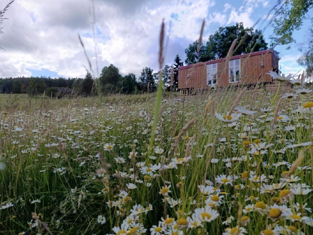 a field of flowers in front of a building at Útulná Maringotka in Dolní Město