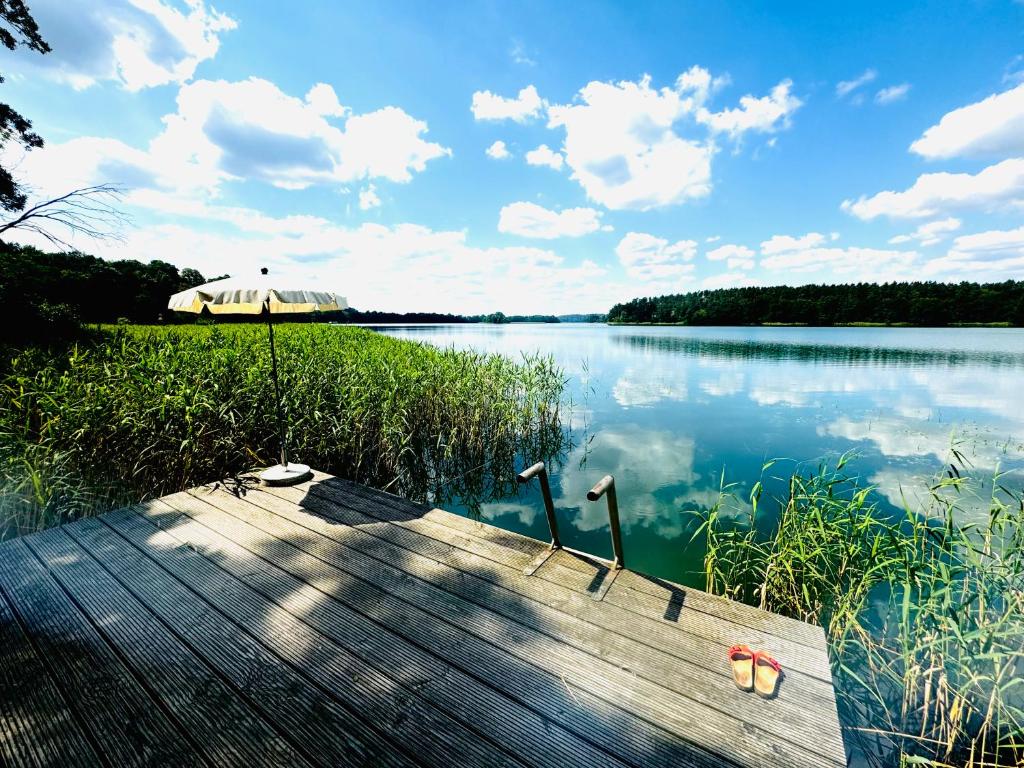 a view of a lake with a wooden dock at DEIN STEG - am Landhaus Schönhof in Feldberg