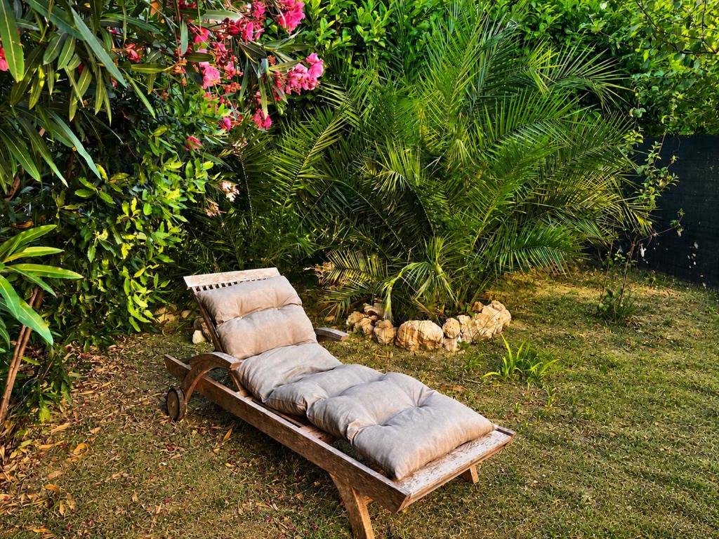 a bench sitting on the grass in a garden at Gîte Le Sallèles in Sallèles-dʼAude