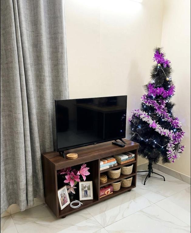 a living room with a christmas tree and a tv at Villa S in Ouagadougou