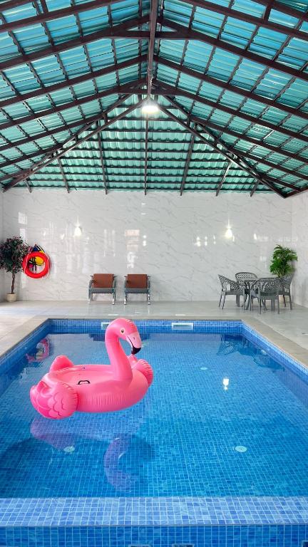 a swimming pool with two inflatable flamingos in it at استراحة الوداد in Qurayyah