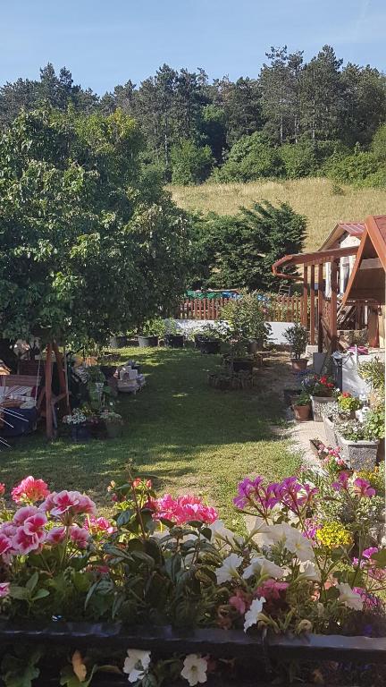 a garden filled with lots of pink flowers at Fenyves Appartman in Pécsely
