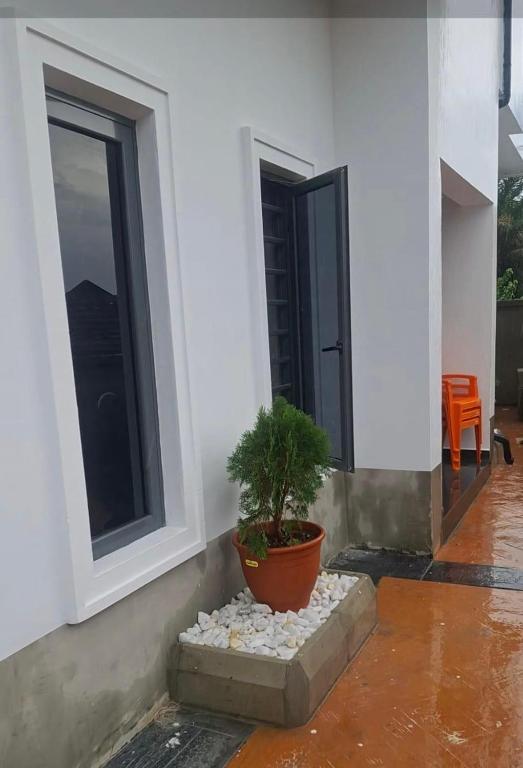 a potted plant sitting on the side of a house at WHITE CASTLE Apartments in Hausa