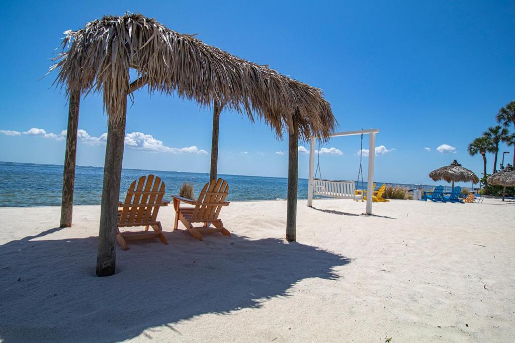 two chairs sitting under a straw umbrella on the beach at Waterfront, Sunset views from balcony, Heated pool in Tampa