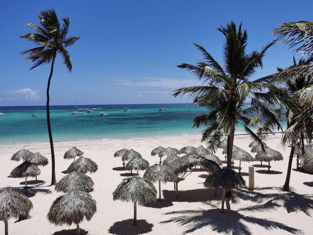 a group of palm trees on a beach with the ocean at MIRABELLA SOL CARIBE SUITES playa LOS CORALES in Punta Cana