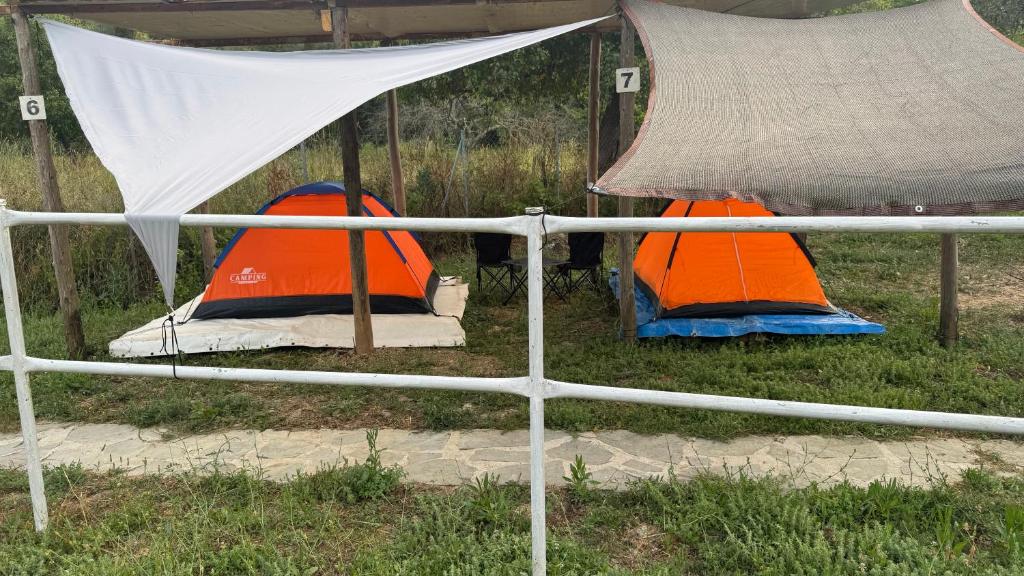 two tents sitting in the grass next to a fence at StNicholas Ranch Corfu Wild Camping 2 in Benitses