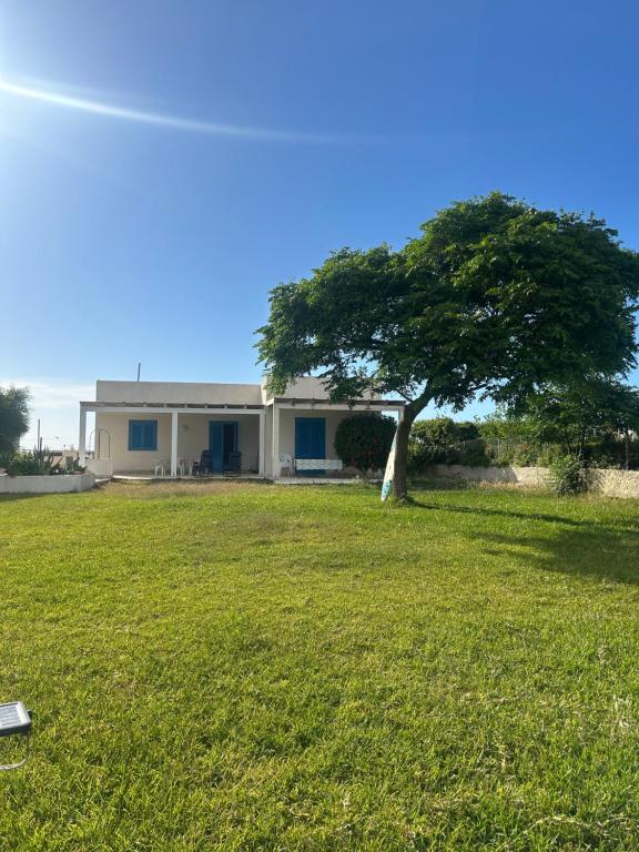 a house with a tree in the middle of a field at Baia dei Fenici in Birgi Vecchi