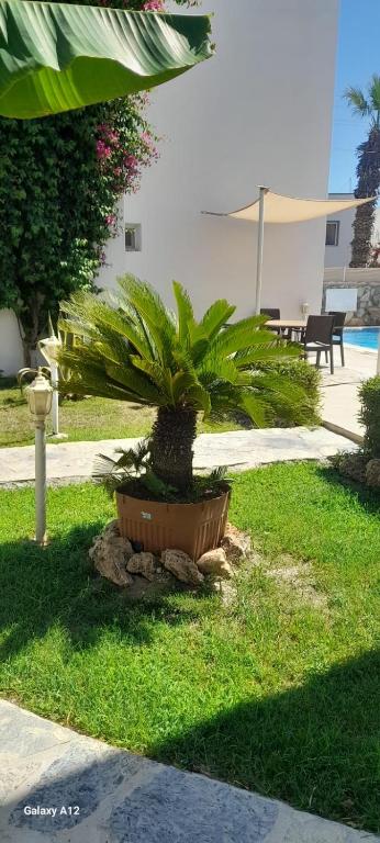 امکانات کانا گاردن - تصویر ۴